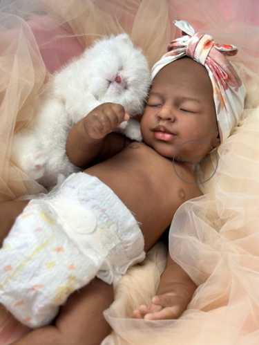 GALILEA – Reborn Cuqui